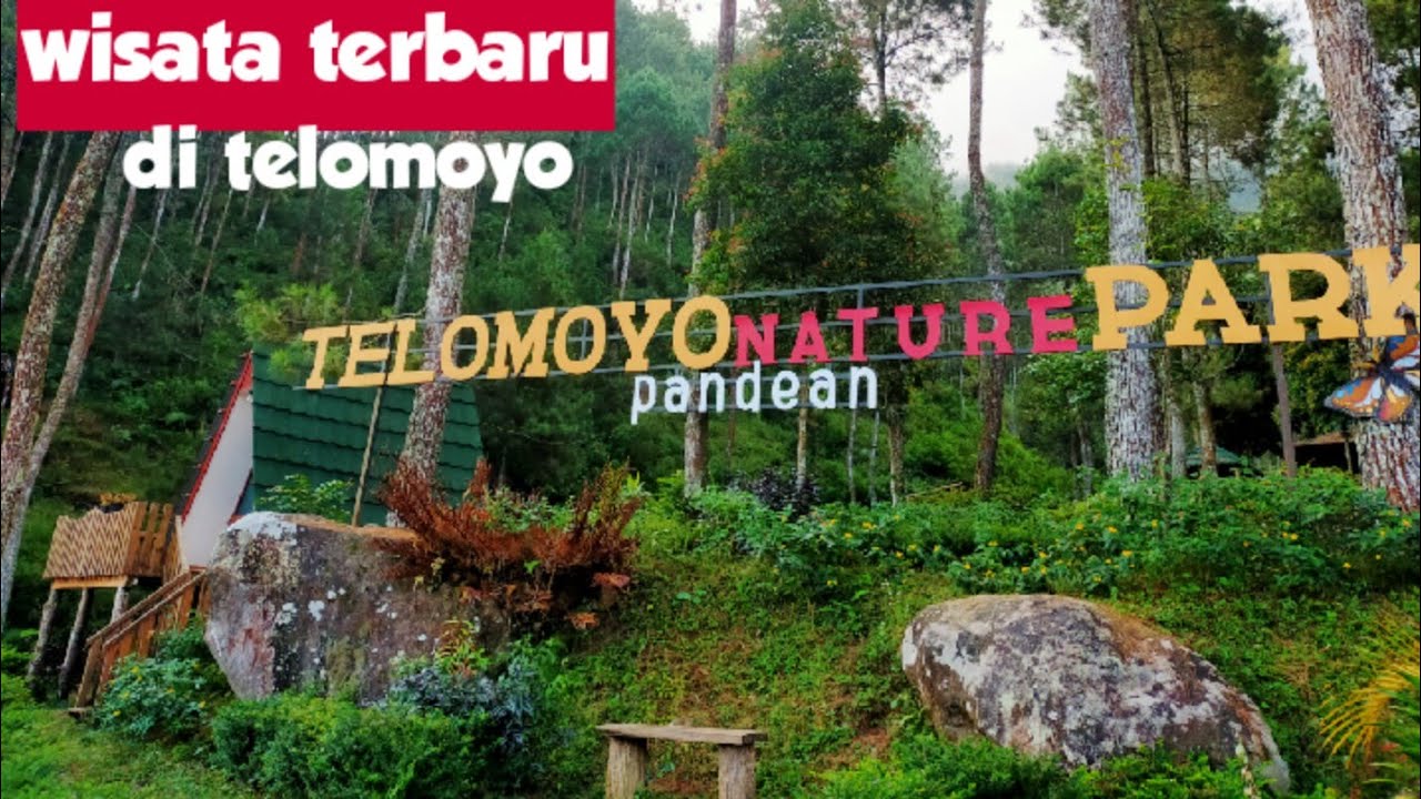 Telomoyo Nature Park: Surga Keanekaragaman Hayati yang Menawan